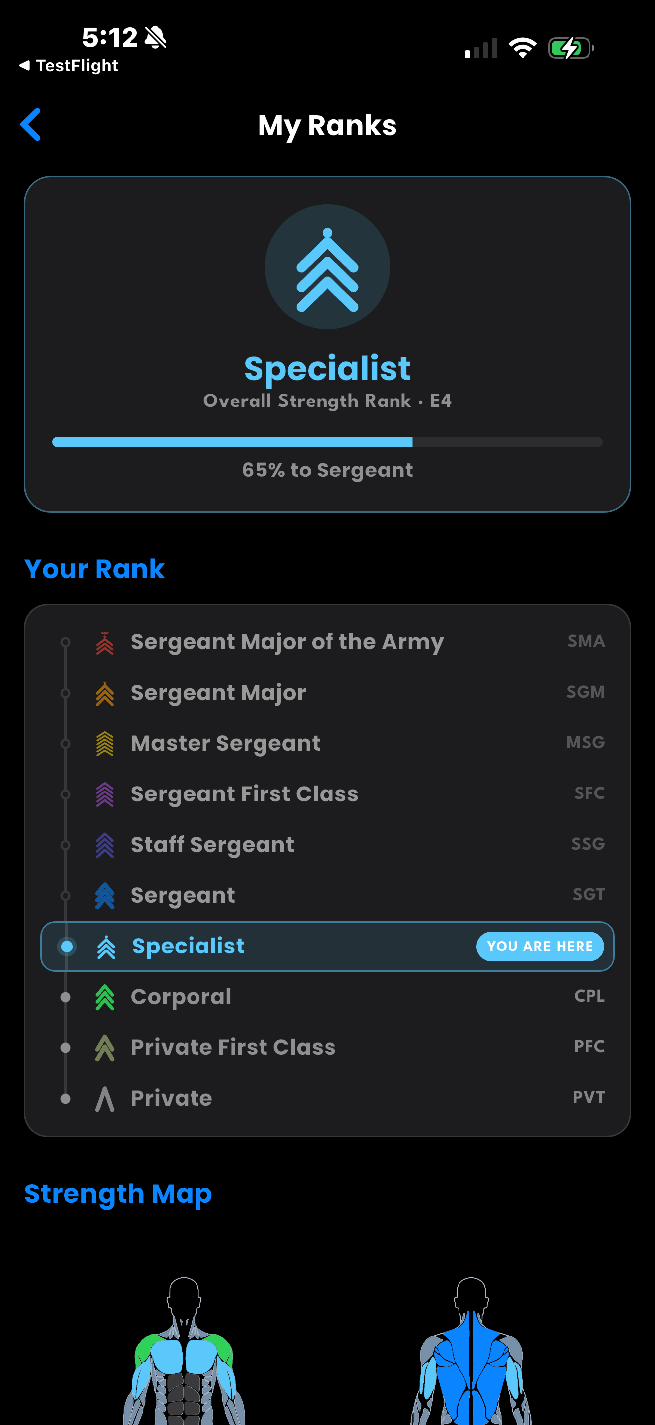 DrillFit Strength Map showing rank progress across muscle groups